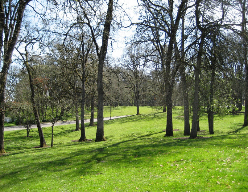 Bush's Pasture Park, United States